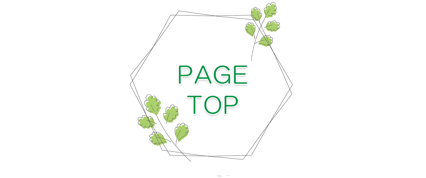 PAGE TOP